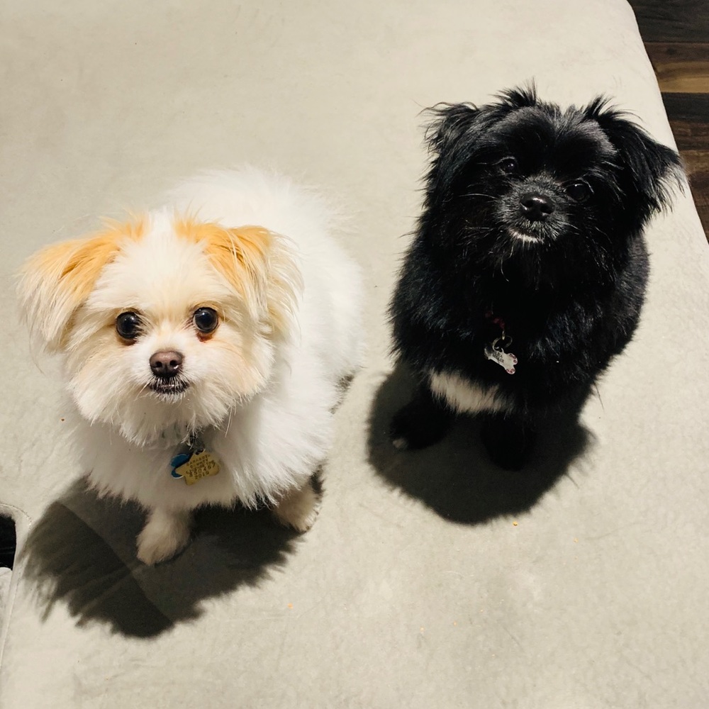 Meet your Posher, Melissa